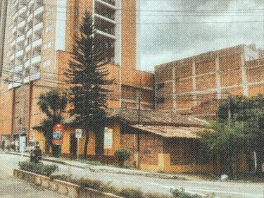 La casa de los pinos