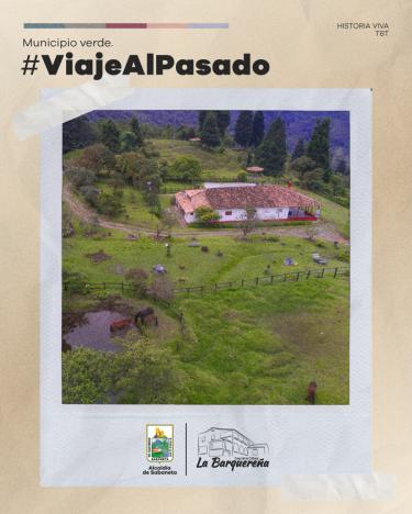 TBT | Municipio Verde