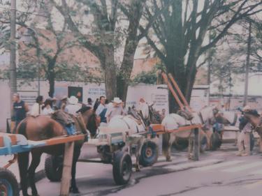 Una manifestación, entre gritos de cocheros y los relinchos de las bestias.