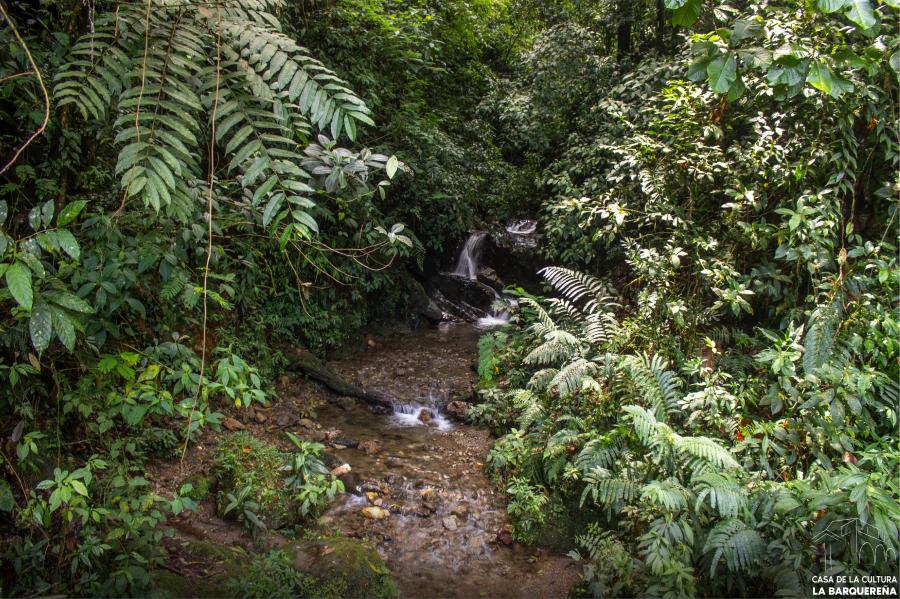 sabaneta naturaleza