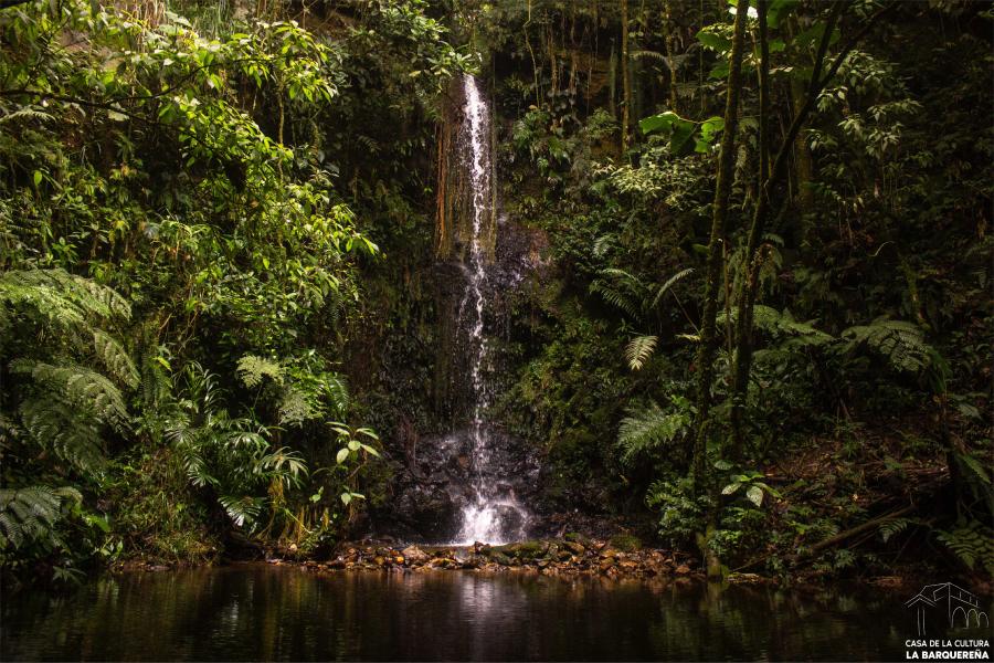 sabaneta naturaleza