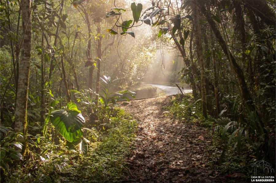 sabaneta naturaleza