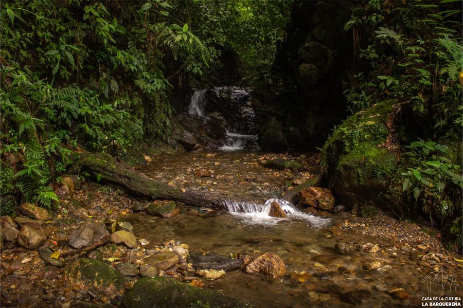 sabaneta naturaleza